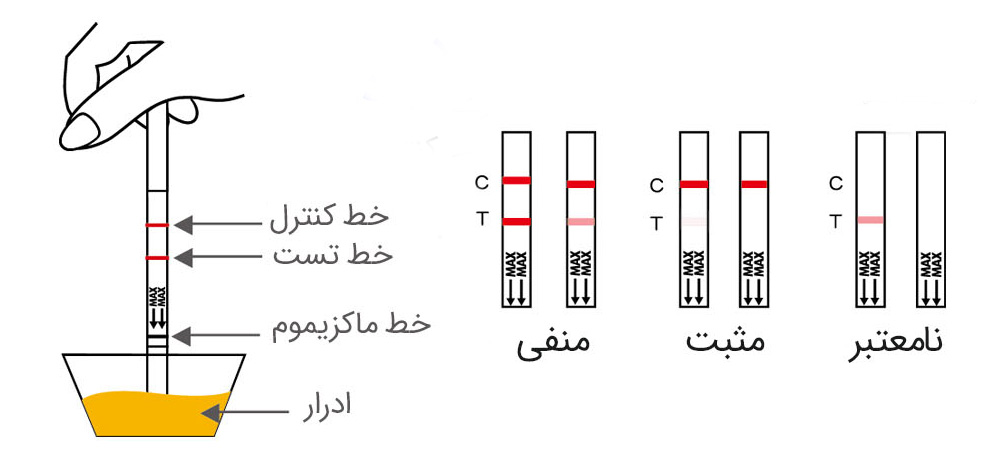 تست اعتیاد چطوری انجام میشه؟ انواع روش منفی کردن تست اعتیاد